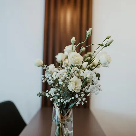 View 39 Apartamento Arandjelovac